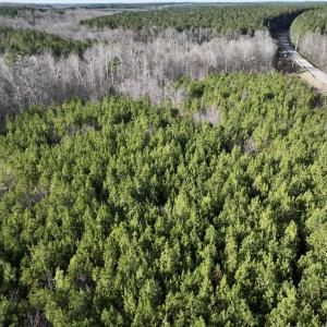Photo #14 of SOLD property in Off Highway 58, Warrenton, NC 9.6 acres