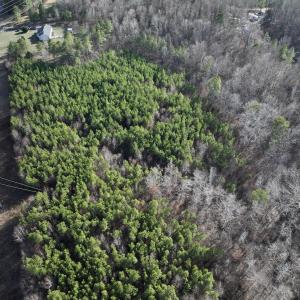 Photo #15 of SOLD property in Off Highway 58, Warrenton, NC 9.6 acres