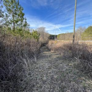Photo #16 of SOLD property in Off Highway 58, Warrenton, NC 9.6 acres