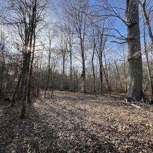 Photo #17 of SOLD property in Off Highway 58, Warrenton, NC 9.6 acres
