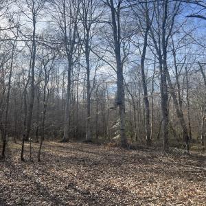 Photo #18 of SOLD property in Off Highway 58, Warrenton, NC 9.6 acres