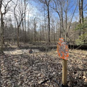 Photo #19 of SOLD property in Off Highway 58, Warrenton, NC 9.6 acres