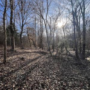 Photo #20 of SOLD property in Off Highway 58, Warrenton, NC 9.6 acres