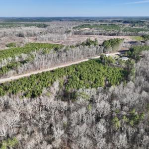 Photo #3 of SOLD property in Off Highway 58, Warrenton, NC 9.6 acres