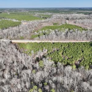 Photo #4 of SOLD property in Off Highway 58, Warrenton, NC 9.6 acres