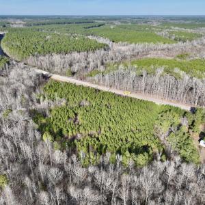 Photo #5 of SOLD property in Off Highway 58, Warrenton, NC 9.6 acres