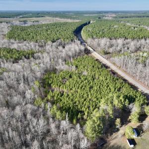 Photo #6 of SOLD property in Off Highway 58, Warrenton, NC 9.6 acres