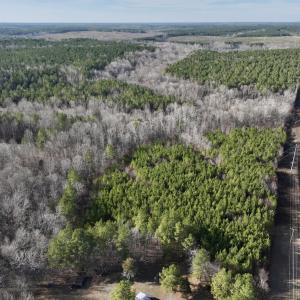 Photo #8 of SOLD property in Off Highway 58, Warrenton, NC 9.6 acres