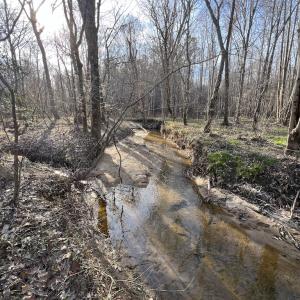 Photo #21 of SOLD property in Off Highway 58, Warrenton, NC 9.6 acres