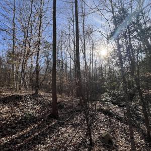 Photo #23 of SOLD property in Off Highway 58, Warrenton, NC 9.6 acres