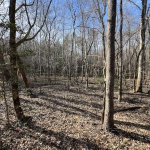 Photo #24 of SOLD property in Off Highway 58, Warrenton, NC 9.6 acres