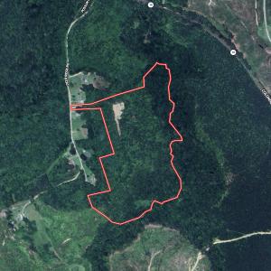 Photo #1 of SOLD property in Off Deer Ridge Rd, Spring Grove, VA 29.9 acres