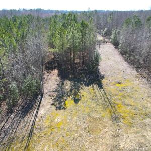 Photo #10 of SOLD property in Off Deer Ridge Rd, Spring Grove, VA 29.9 acres
