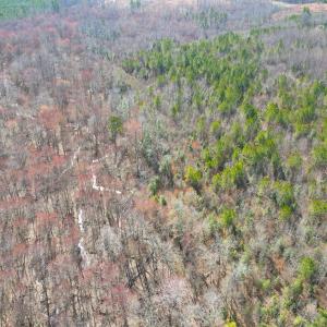 Photo #16 of SOLD property in Off Deer Ridge Rd, Spring Grove, VA 29.9 acres