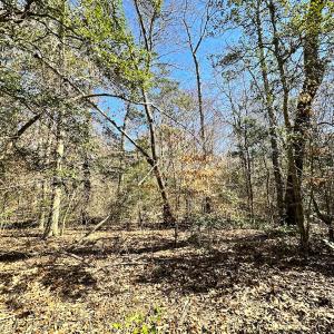 Photo #17 of SOLD property in Off Deer Ridge Rd, Spring Grove, VA 29.9 acres
