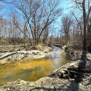 Photo #19 of SOLD property in Off Deer Ridge Rd, Spring Grove, VA 29.9 acres