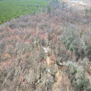 Photo #20 of SOLD property in Off Deer Ridge Rd, Spring Grove, VA 29.9 acres