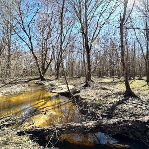 Photo #21 of SOLD property in Off Deer Ridge Rd, Spring Grove, VA 29.9 acres