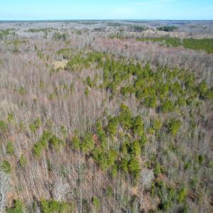 Photo #24 of SOLD property in Off Deer Ridge Rd, Spring Grove, VA 29.9 acres
