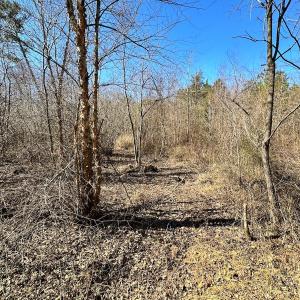 Photo #25 of SOLD property in Off Deer Ridge Rd, Spring Grove, VA 29.9 acres