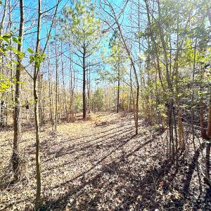 Photo #26 of SOLD property in Off Deer Ridge Rd, Spring Grove, VA 29.9 acres
