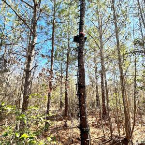 Photo #27 of SOLD property in Off Deer Ridge Rd, Spring Grove, VA 29.9 acres