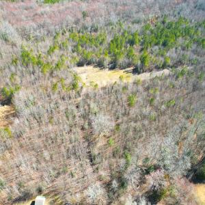 Photo #4 of SOLD property in Off Deer Ridge Rd, Spring Grove, VA 29.9 acres
