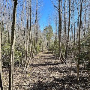 Photo #8 of SOLD property in Off Deer Ridge Rd, Spring Grove, VA 29.9 acres