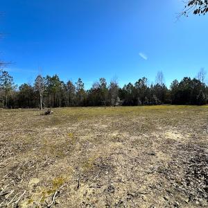 Photo #9 of SOLD property in Off Deer Ridge Rd, Spring Grove, VA 29.9 acres