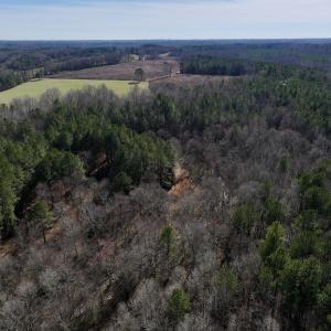 Photo #10 of SOLD property in 657 Collins Mill Rd, Castalia, NC 104.8 acres