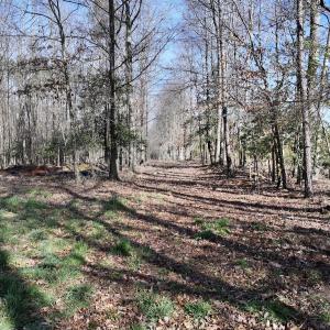 Photo #11 of SOLD property in 657 Collins Mill Rd, Castalia, NC 104.8 acres