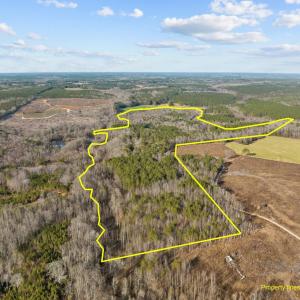Photo #3 of SOLD property in 657 Collins Mill Rd, Castalia, NC 104.8 acres