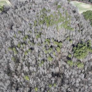 Photo #4 of SOLD property in 657 Collins Mill Rd, Castalia, NC 104.8 acres