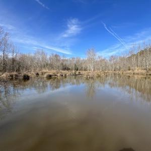 Photo #42 of SOLD property in 657 Collins Mill Rd, Castalia, NC 104.8 acres