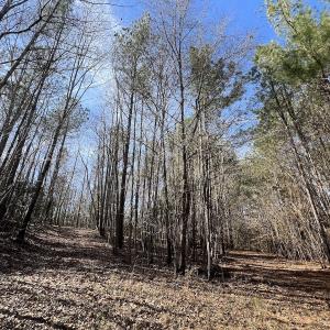 Photo #43 of SOLD property in 657 Collins Mill Rd, Castalia, NC 104.8 acres