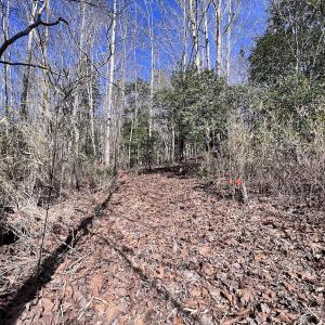 Photo #44 of SOLD property in 657 Collins Mill Rd, Castalia, NC 104.8 acres