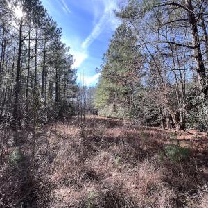 Photo #45 of SOLD property in 657 Collins Mill Rd, Castalia, NC 104.8 acres