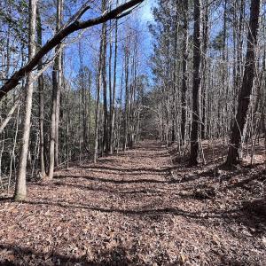 Photo #46 of SOLD property in 657 Collins Mill Rd, Castalia, NC 104.8 acres