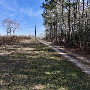 Photo #47 of SOLD property in 657 Collins Mill Rd, Castalia, NC 104.8 acres