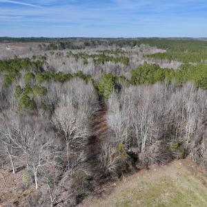 Photo #50 of SOLD property in 657 Collins Mill Rd, Castalia, NC 104.8 acres