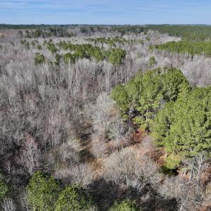 Photo #51 of SOLD property in 657 Collins Mill Rd, Castalia, NC 104.8 acres