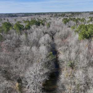 Photo #52 of SOLD property in 657 Collins Mill Rd, Castalia, NC 104.8 acres