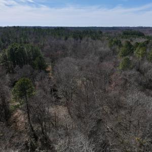 Photo #53 of SOLD property in 657 Collins Mill Rd, Castalia, NC 104.8 acres