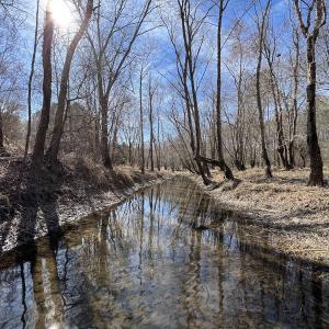 Photo #55 of SOLD property in 657 Collins Mill Rd, Castalia, NC 104.8 acres