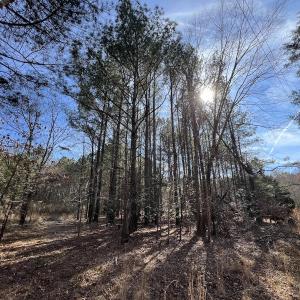 Photo #56 of SOLD property in 657 Collins Mill Rd, Castalia, NC 104.8 acres