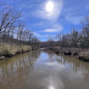 Photo #57 of SOLD property in 657 Collins Mill Rd, Castalia, NC 104.8 acres
