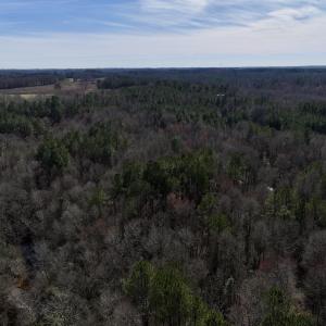 Photo #58 of SOLD property in 657 Collins Mill Rd, Castalia, NC 104.8 acres