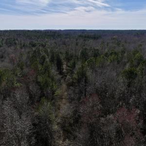 Photo #59 of SOLD property in 657 Collins Mill Rd, Castalia, NC 104.8 acres