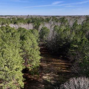 Photo #7 of SOLD property in 657 Collins Mill Rd, Castalia, NC 104.8 acres
