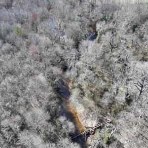 Photo #9 of SOLD property in 657 Collins Mill Rd, Castalia, NC 104.8 acres